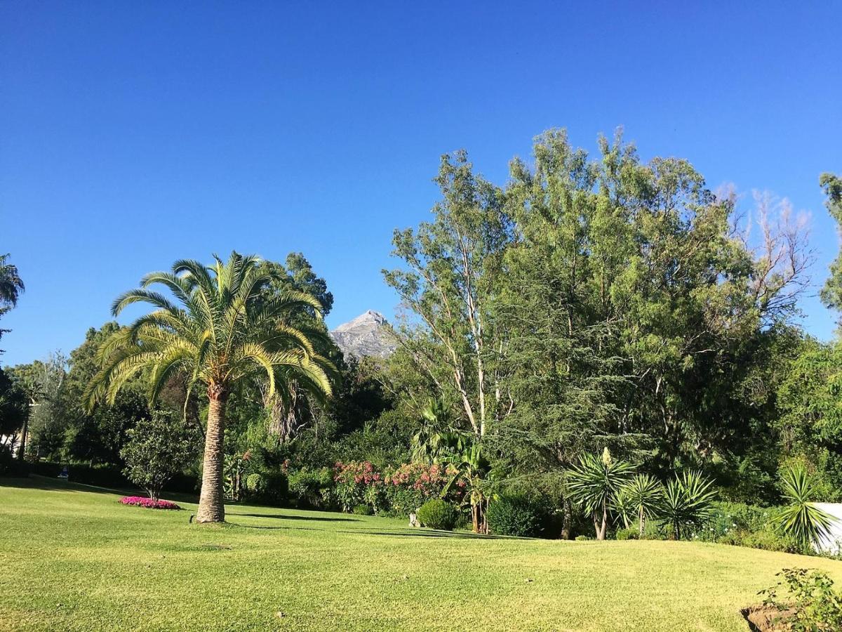 Apartament Nueva Andalucia - Penthouse Marbella Zewnętrze zdjęcie